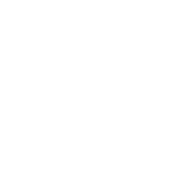 ICON loan options 1 WHITE